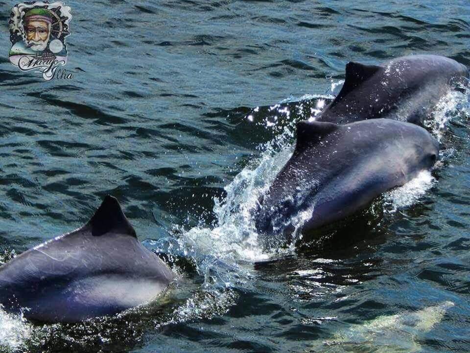 Pousada Del Mar Иля Комприда Екстериор снимка